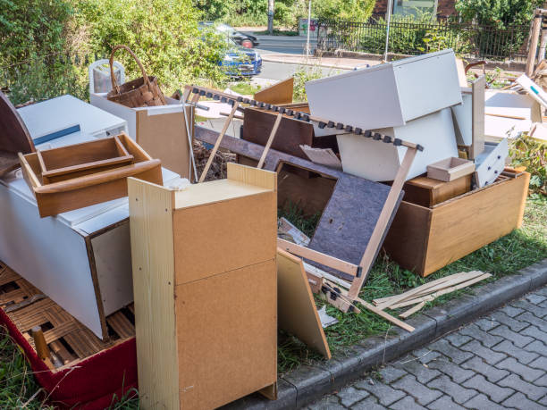 Best Professional Junk Removal  in Flat Rock, NC